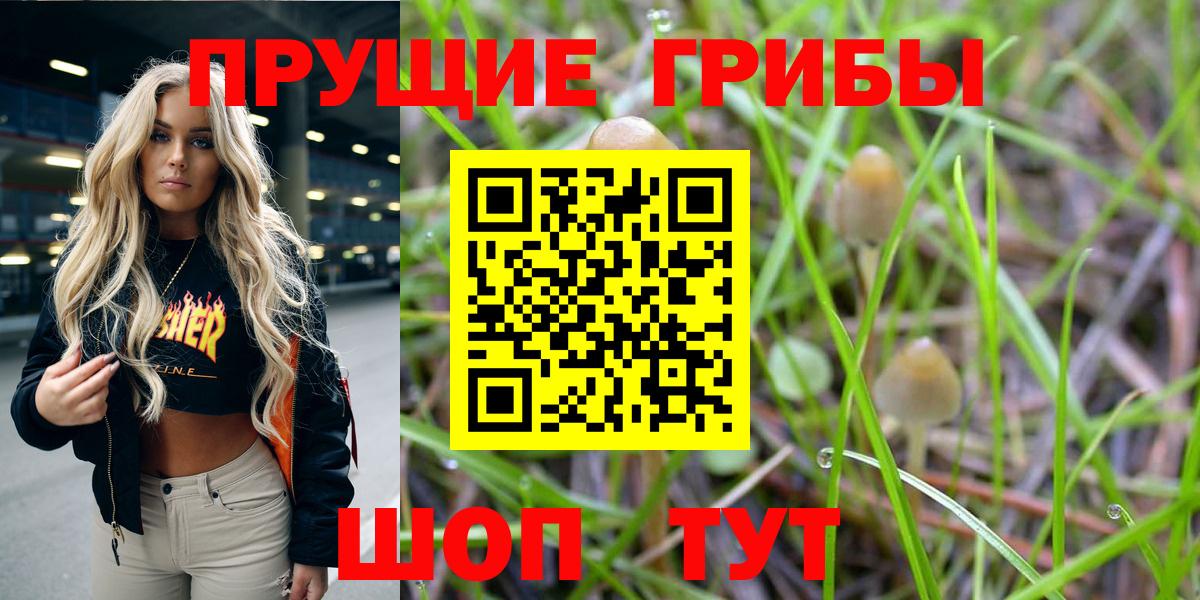 Псилоцибиновые грибы Psilocybe  Галлюциногенные грибы Psilocybe  Отрадный  Вход с VPN 